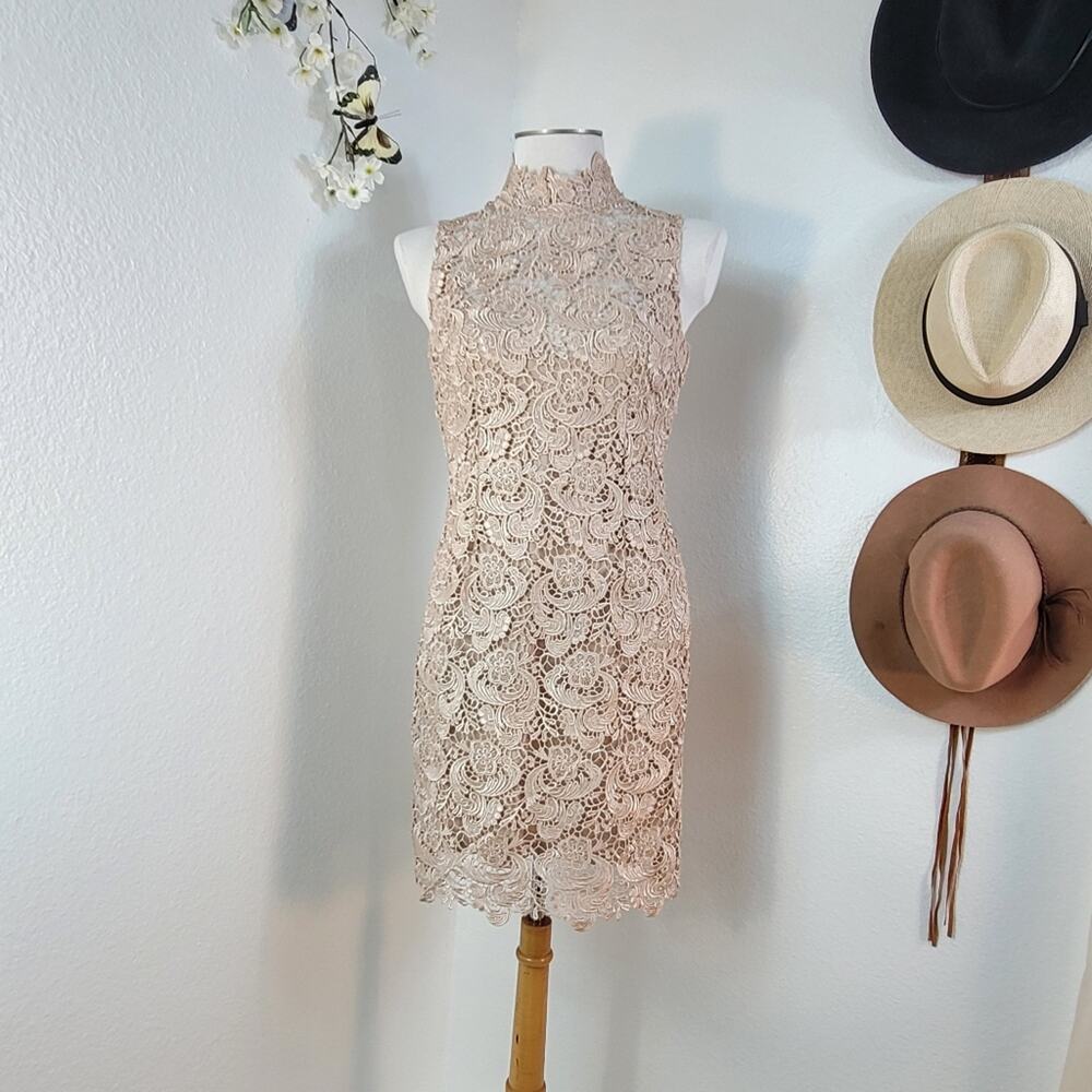 NWOT GRACIA Champagne Floral Lace Cocktail Sheath Dress Wedding Guest Elegant - Picture 7 of 16